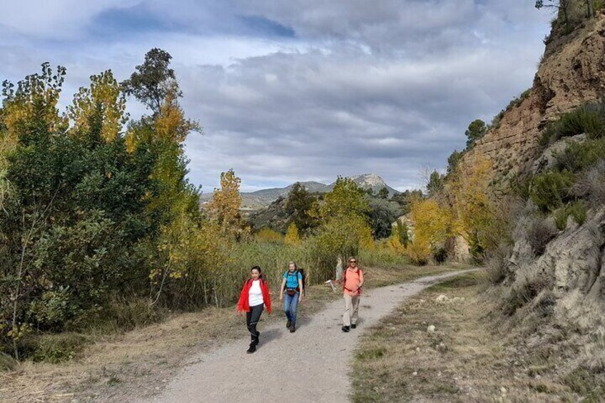 Hike to the Roman aqueduct Peña Cortada