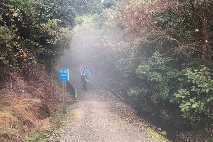 Scenic Spooners Tunnel Adventure in Nelson Tasman