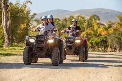 Las Cañadas Campamento ATV Tour