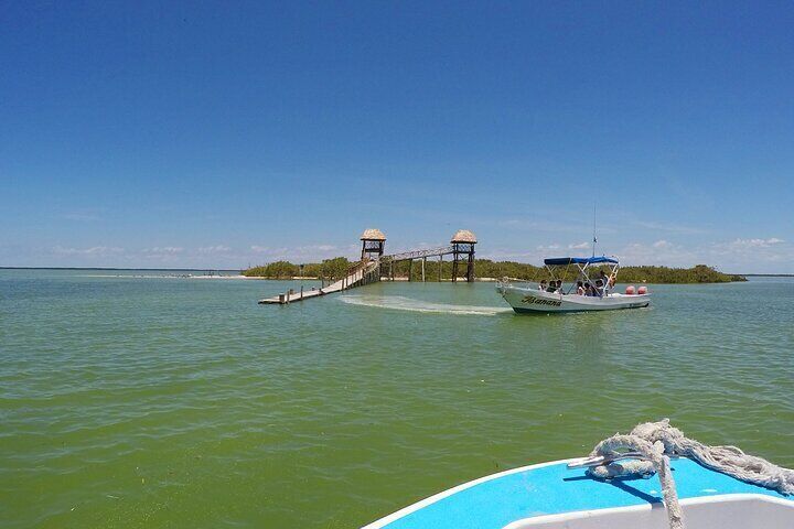 The Three Islands Tour Explore Holbox's Natural Wonders