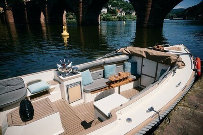 Boat trip Heidelberg private boat with captain 1.5h couple family