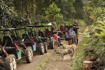 Bali Eco Off-Road Adventure to Munduk