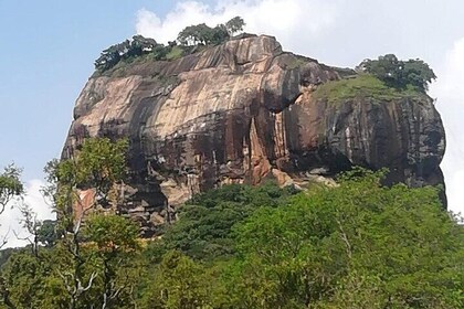 Private Sigiriya Tour from Kandy to Dambulla & back to Kandy