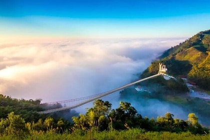 Taiping Suspension Bridge Admission Ticket