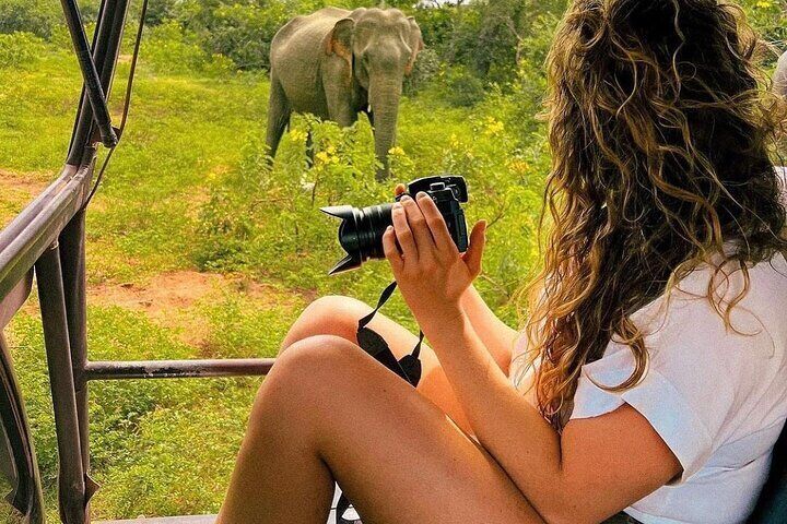 Arugam Bay to Mirissa Shuttle and Safari Drive