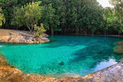 Krabi Emerald Pool, Hot Spring, and Tiger Cave Temple Day Tour