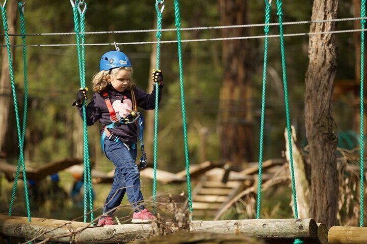 Launceston Hollybank Junior Tree Ropes Course