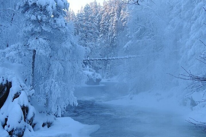 Oulanka National Park Private Winter Walk