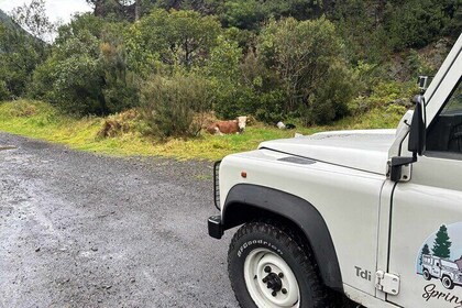 Tour 4x4: Porto Moniz, between mountains and sea