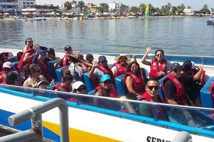 Paracas Full Day Tour
