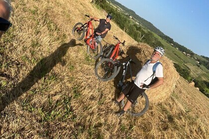 Montepulciano Mountain Bike Private Tour