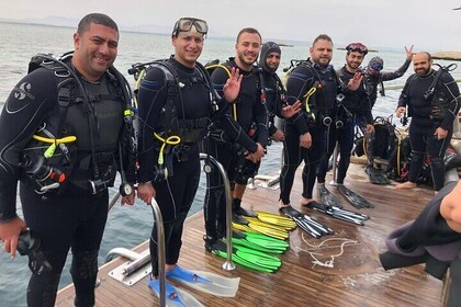 Daily Diving with Equipment from Hurghada