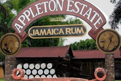 Appleton Estate, YS Falls and Pelican Bar Day Trip from Kingston