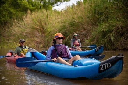 Lower Salt River Guided Kayak Tours