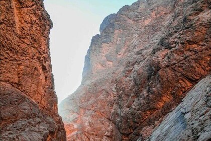 Explore Neom Tabuk with Private Car Tour
