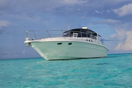 Nauti Dreams Private Boat Charter