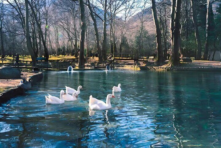 Vergina Tombs Agios Nikolaos Grove and Edessa from Thessaloniki