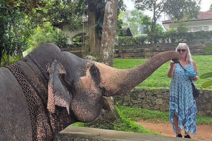 Kandy Full Day Tour Private All Inclusive 