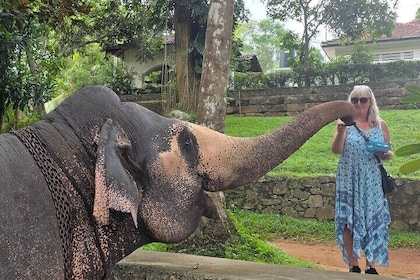 Kandy Full Day Tour Private All Inclusive