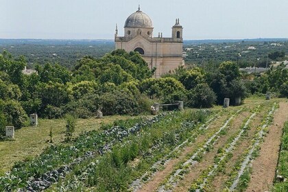 Walk And Aperitif At The Secret Gardens Of Ostuni
