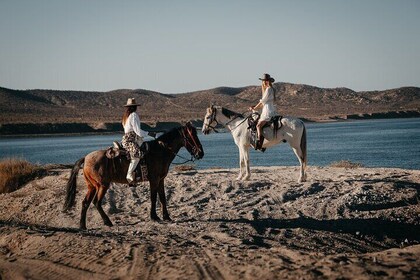 Beach and Desert Scenic Horseback Ride in Baja California Sur