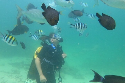 Discover Scuba Diving in Mombasa