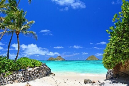 Private Driving Tour of Oahu Scenic South Shore