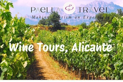 Exclusive Tour Alicante Almazara Winery and Fondillón Museum