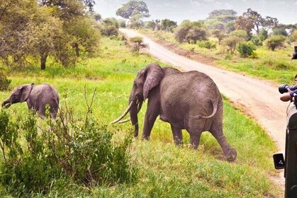 3-Day Safari Adventure Hluhluwe and iSimangaliso Wetland Park
