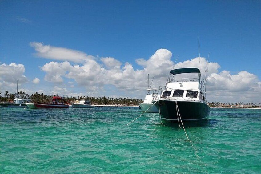 Punta Cana Fishing Charters - Divina 