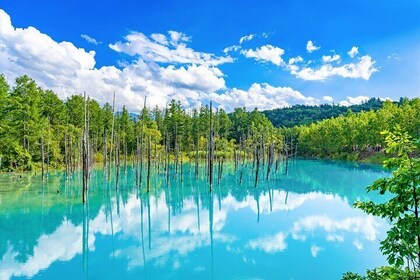 Hokkaido Private Tour starts from Sapporo