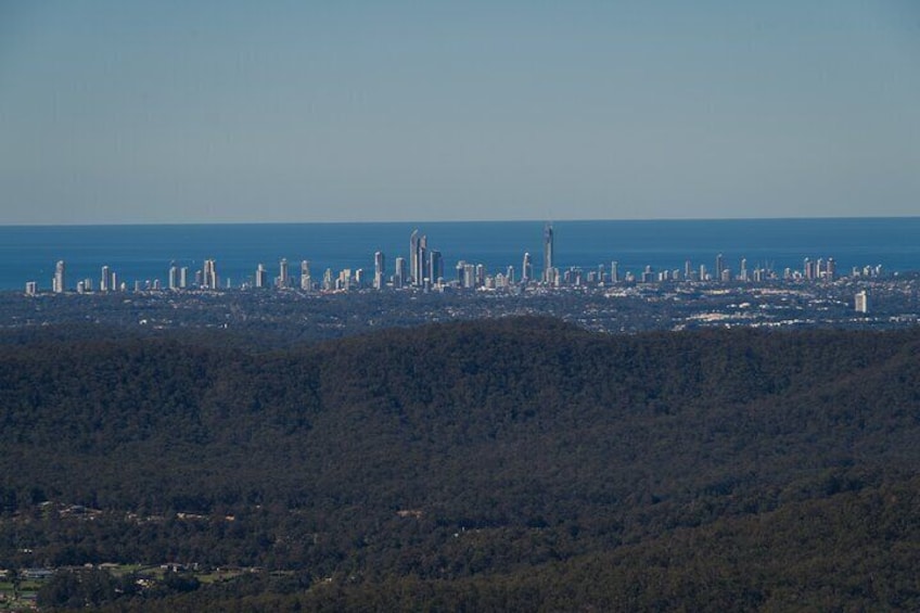 Gold Coast Skyline 