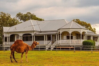 Scenic Rim Farm, Food & Wine Experience