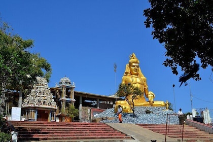 Trincomalee & Pigeon Island Day Tour with Seafood Lunch