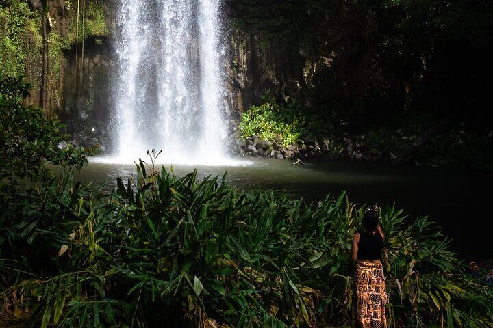 Cairns Day Tour Private Waterfall