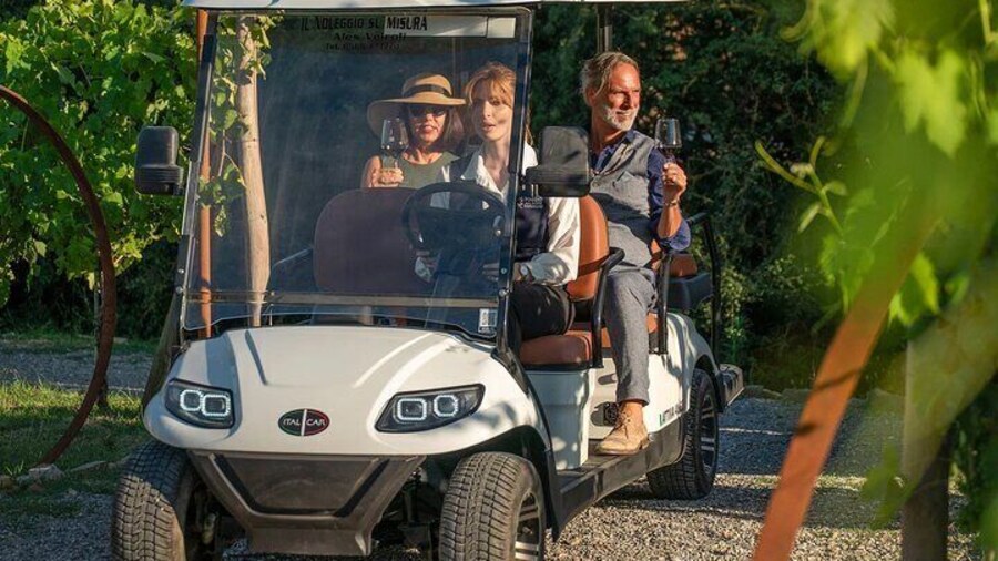 Classic:Tuscan Vineyard Golf Cart Tour with WineTasting and Lunch