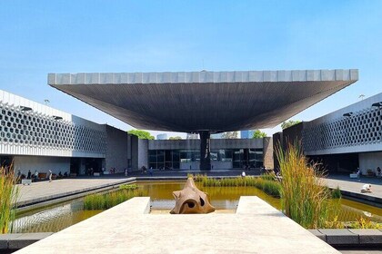 Anthropology Museum Early Access Tour