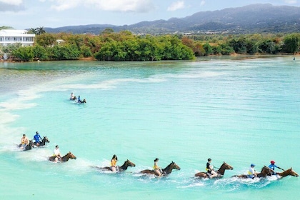 Horseback Ride/Swim and Blue Hole Falls Daytrip with Transfers