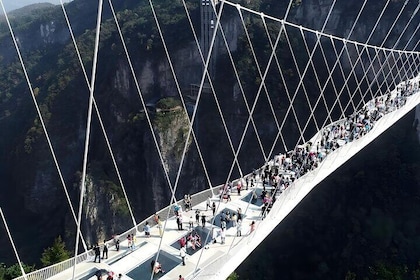 2-Day Chengdu-Zhangjiajie Private Tour: Uncover the Must-See Gems