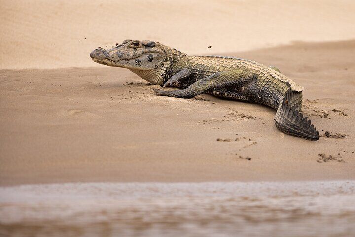 Tour Manu Reserved Area