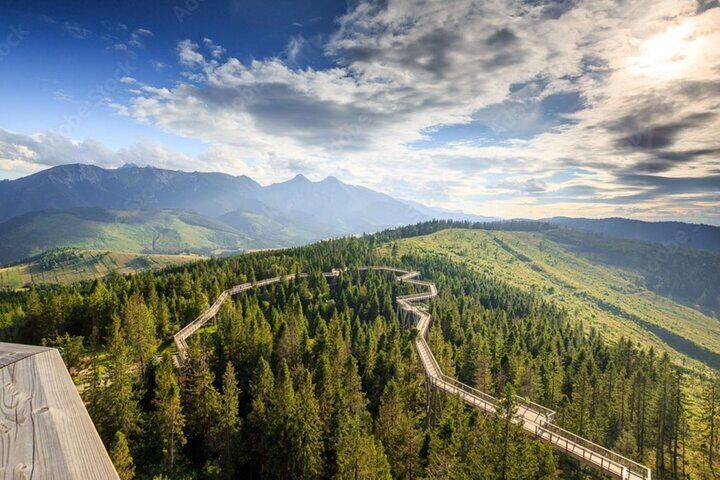 Dunajec River Gorge Rafting and Tree Top Walk from Krakow