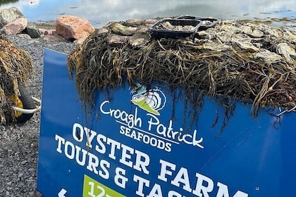 Oyster Farm Tour and Tasting by E-Bike