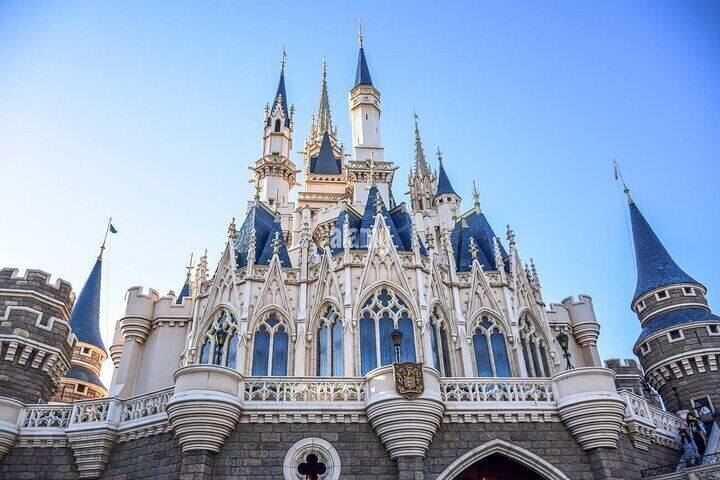 Private Tokyo Disneyland/DisneySea Tour with Car Transportation