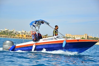 Private Speedboat Trip, Dolphin Swim, & Water Sports :Hurghada