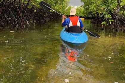 Uzi Island Eco-Kayak Adventure