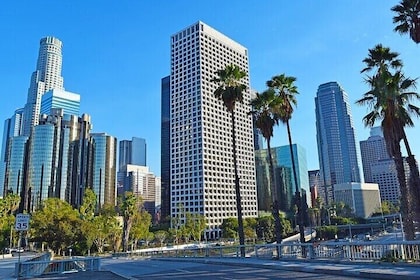 Private Full day Los Angeles Tour from Newport Beach