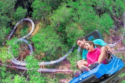 Datanla New Alpine Coaster Tour Experience Ticket