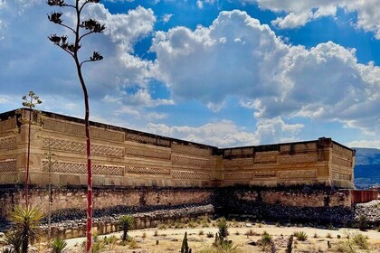 ruins ,colors and maguey private tour