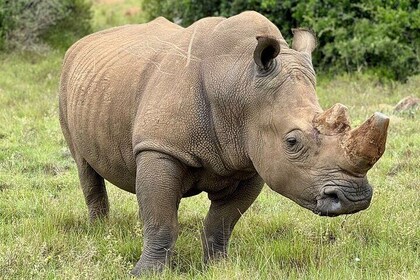 Schotia Private Game Reserve