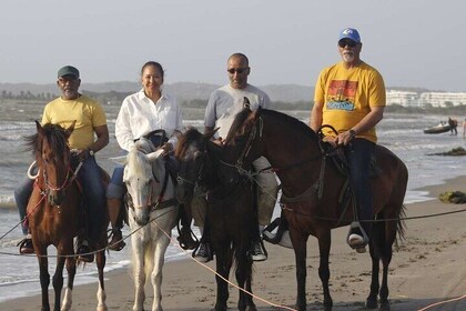 Horse Ride on the Beach